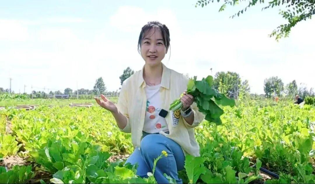 首页| CA88集团中国唯一官方网站